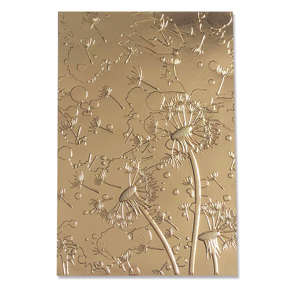 Sizzix - 3-D Textured Impressions Embossing Folder Dandelion Wish by Kath Breen