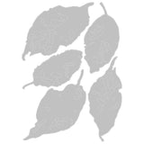 Sizzix - Thinlits Die Set 5PK Leaf Fragments by Tim Holtz