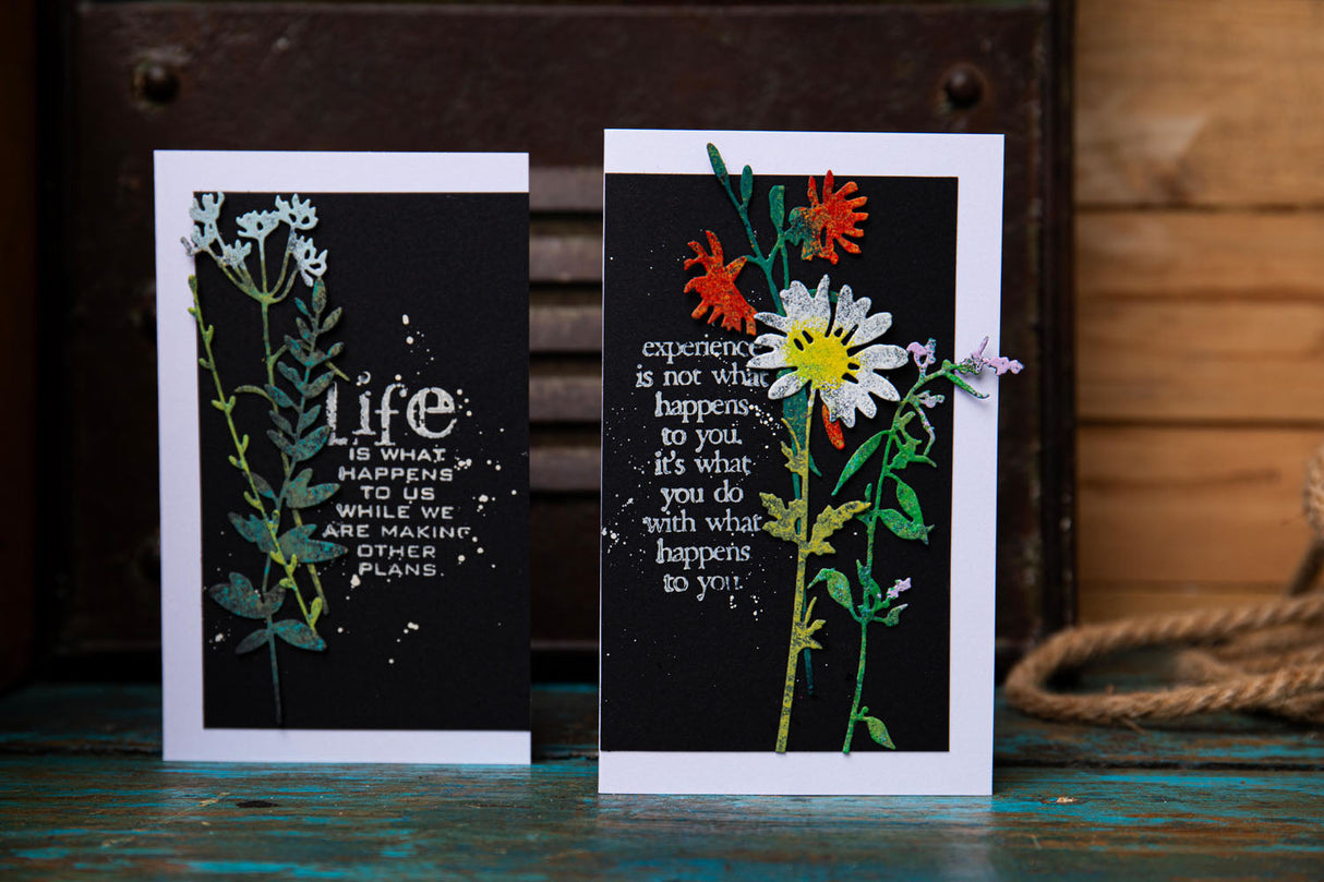 Sizzix - Thinlits Die Set 6PK Vault Wildflowers  by Tim Holtz