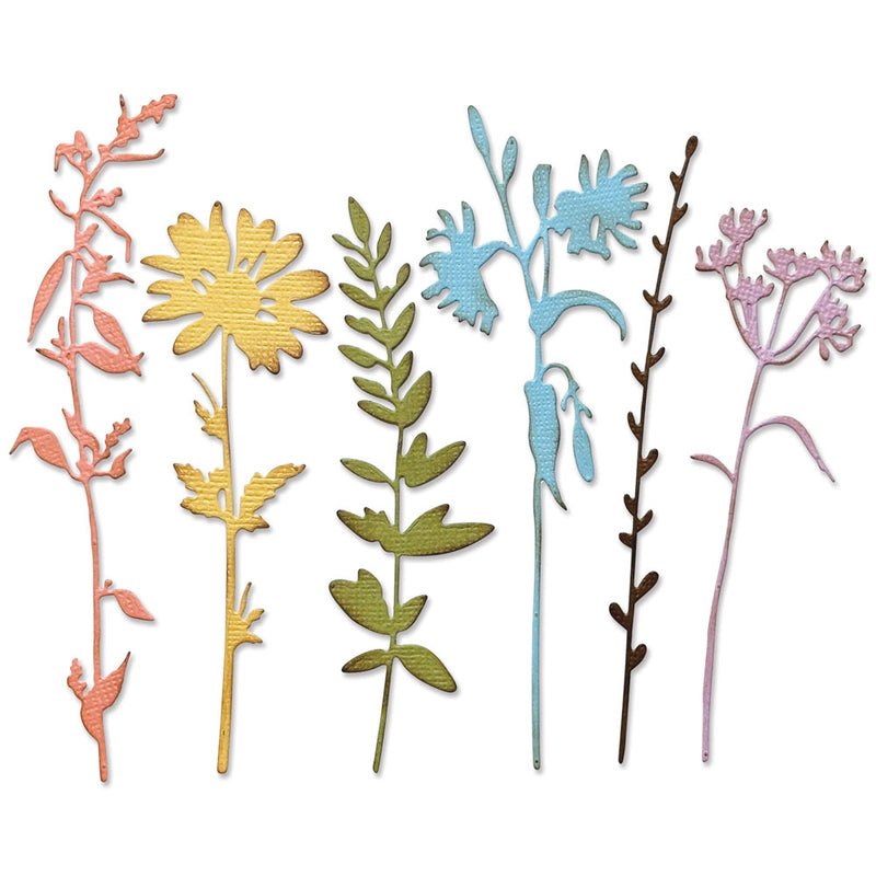 Sizzix - Thinlits Die Set 6PK Vault Wildflowers  by Tim Holtz