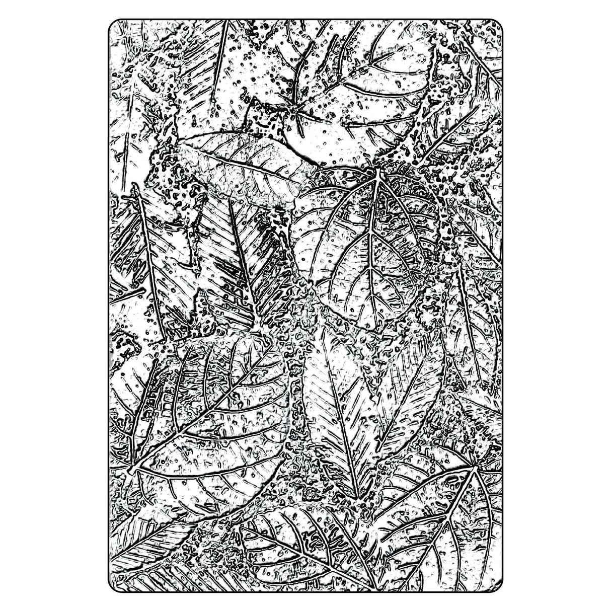 Sizzix - 3D Texture Fades A5 Embossing Folder By Tim Holtz - Foliage
