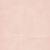 49 And Market - The Looking Glass - Collection Pack 12"X12" - Solids