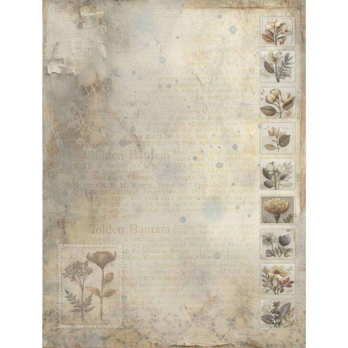 49 And Market - Faded Memory Lane - Collection Pack 6"X8"