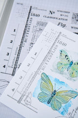 Sizzix - Clear Stamps Set 11PK w/10PK Framelit Dies Postage Wings by 49 and Market