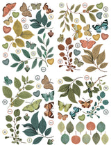 Arden Creative Studio - Amber Ledgers - Foliage Laser Cuts