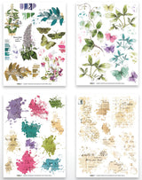 Arden Creative Studio - Garden Chronicles - 6in x 8in Rub-On Transfer Set