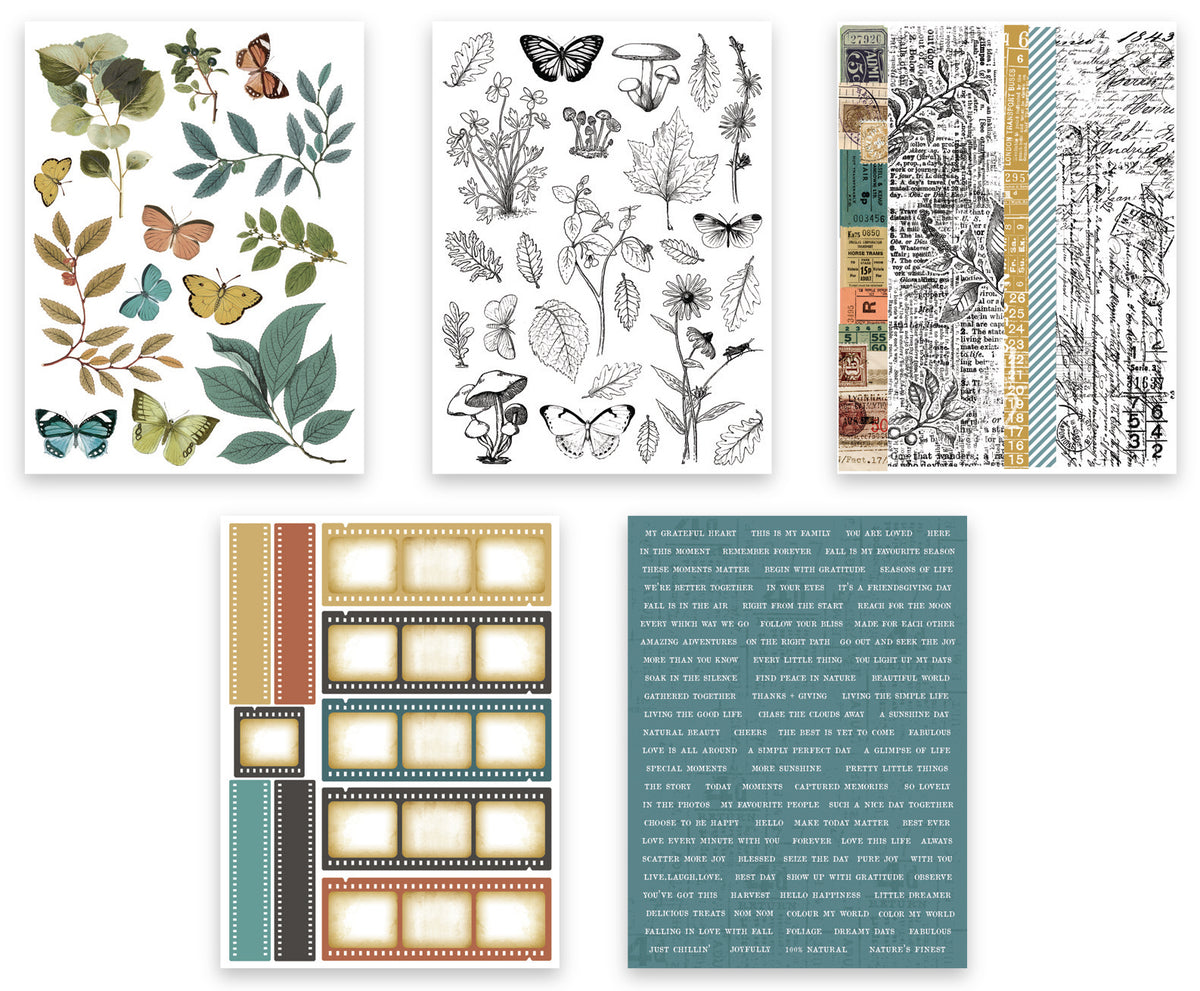 Arden Creative Studio - Amber Ledgers - Sticker Book