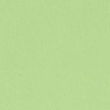 Bazzill - 12x12 Cardstock - Smoothies