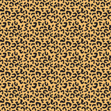 ***Pre-Order*** Bella Blvd - Zoo Day - Zoo Day Collection Kit