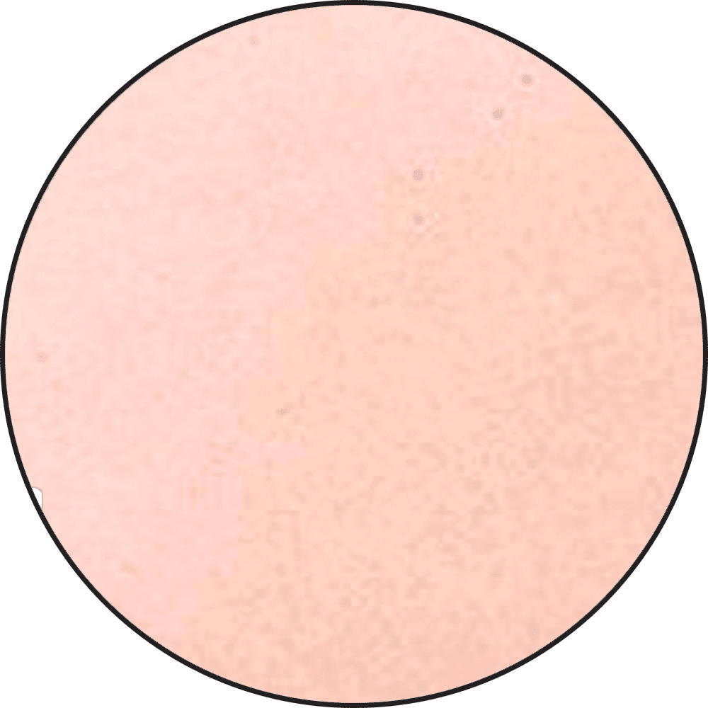 Ranger - Embossing Powder - Blush Pearl