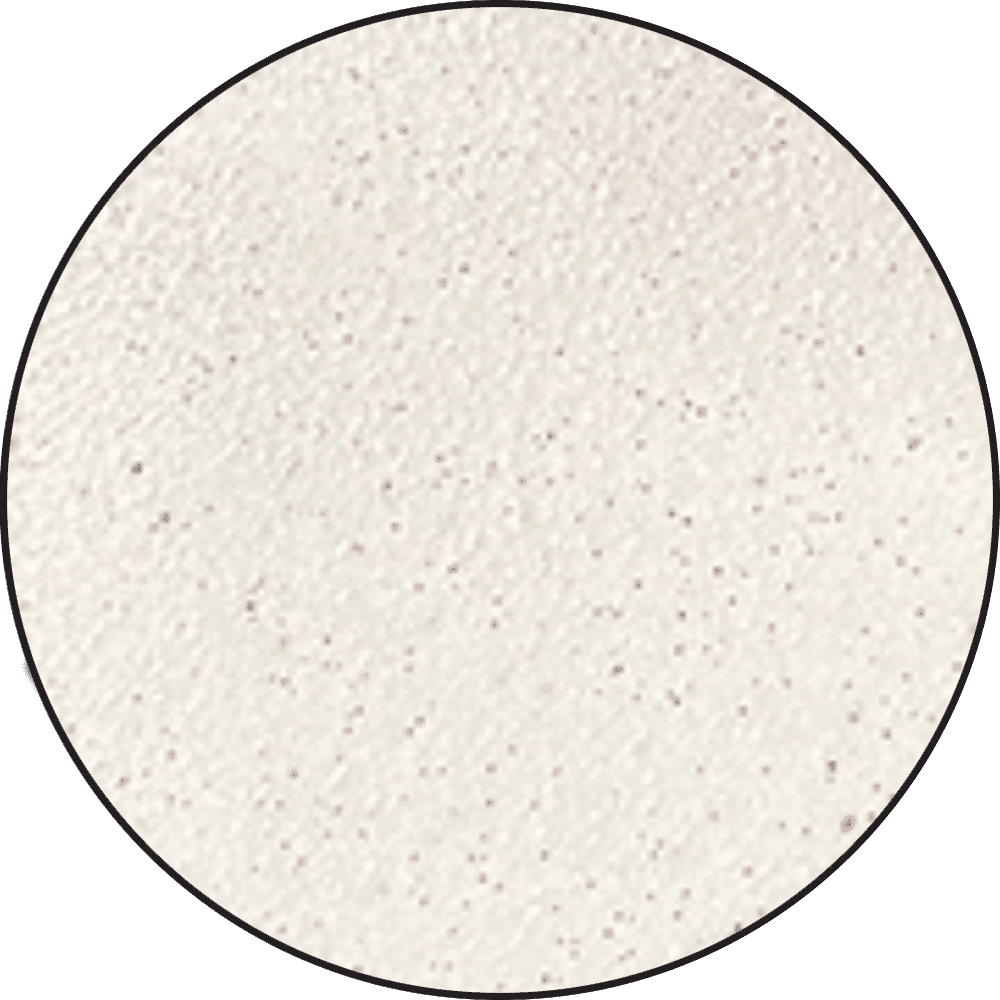Ranger - Embossing Powder - Bridal Tinsel