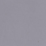 Bazzill - 12x12 Cardstock - Smoothies