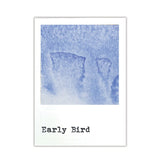 49 And Market - Ranger - Dye Ink Reinkers - Early Bird