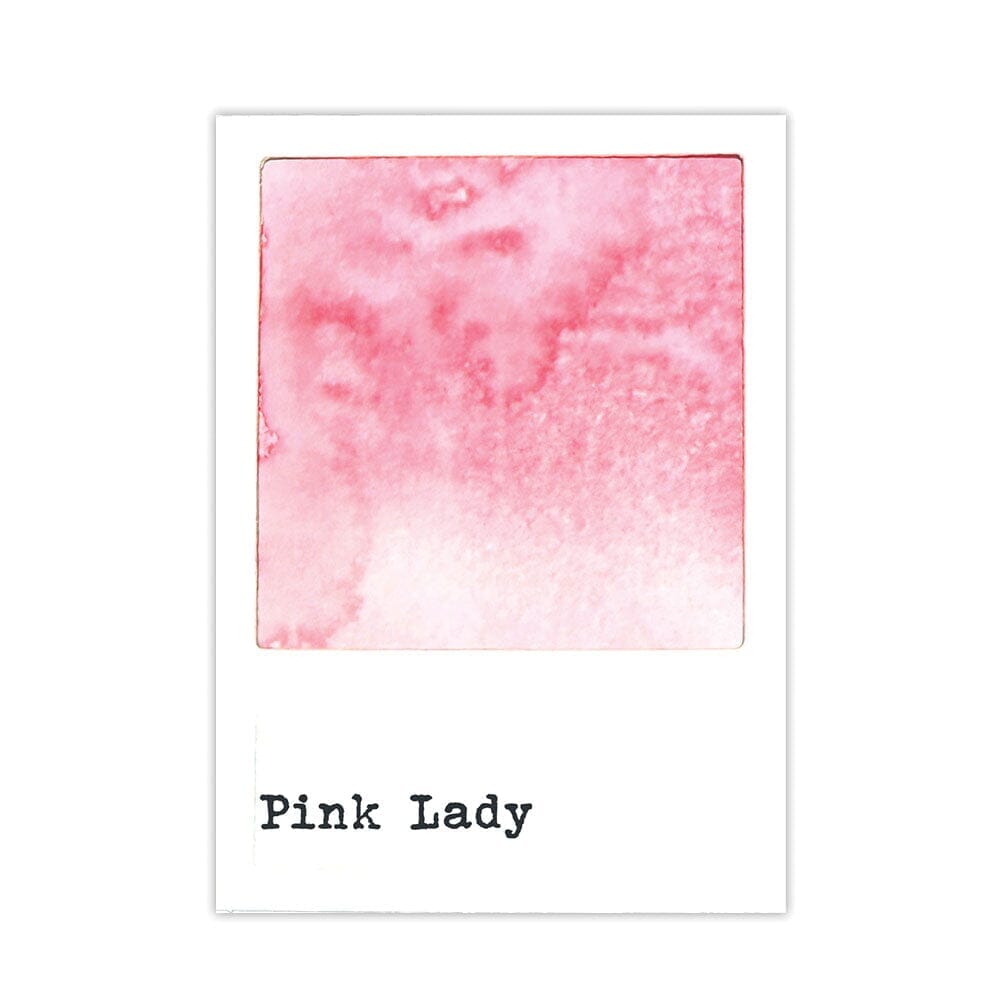 49 And Market - Ranger - Dye Ink Reinkers - Pink Lady