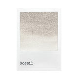 49 And Market - Ranger - Dye Ink Reinkers - Fossil