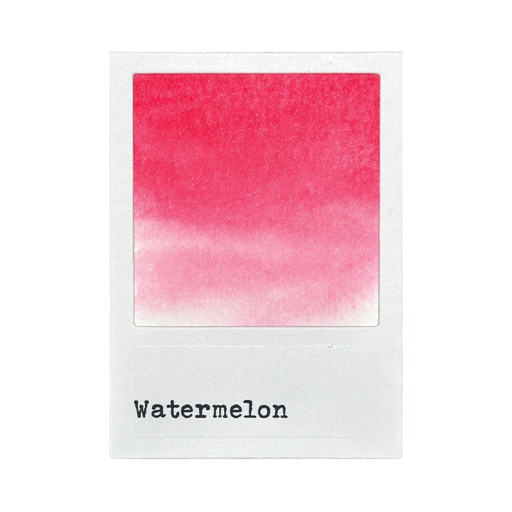 49 And Market - Ranger - Dye Ink Reinkers - Watermelon