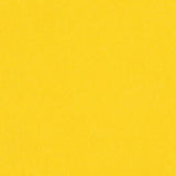 Bazzill - 12x12 Cardstock - Smoothies