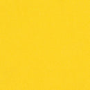 Bazzill - 12x12 Cardstock - Smoothies