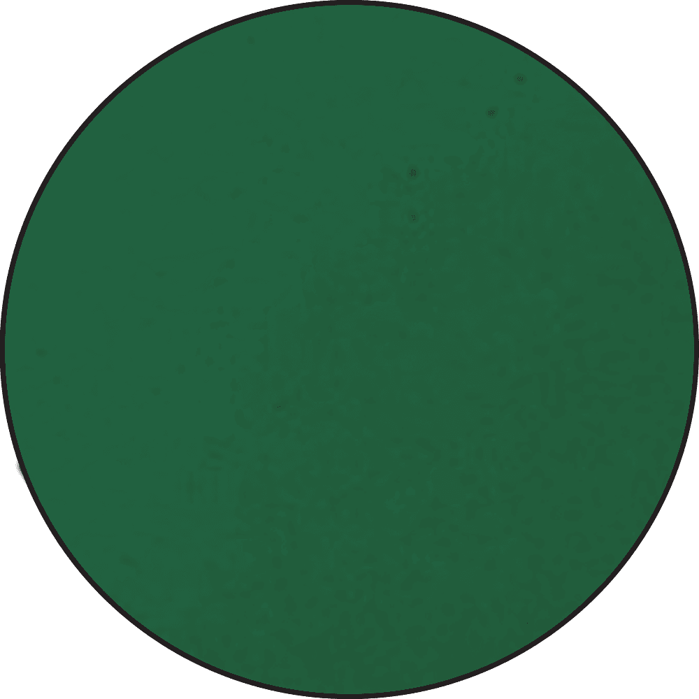 Ranger - Embossing Powder - Green
