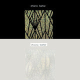 Simon Hurley - Astro Paste - Phoenix Feather