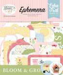 ***Pre-Order*** Echo Park - In Full Bloom - Ephemera