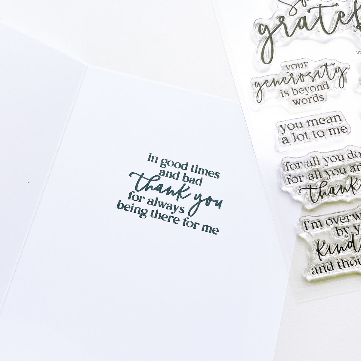 Catherine Pooler - Inside Out Gratitude Sentiments Stamp Set