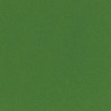 Bazzill - 12x12 Cardstock - Smoothies