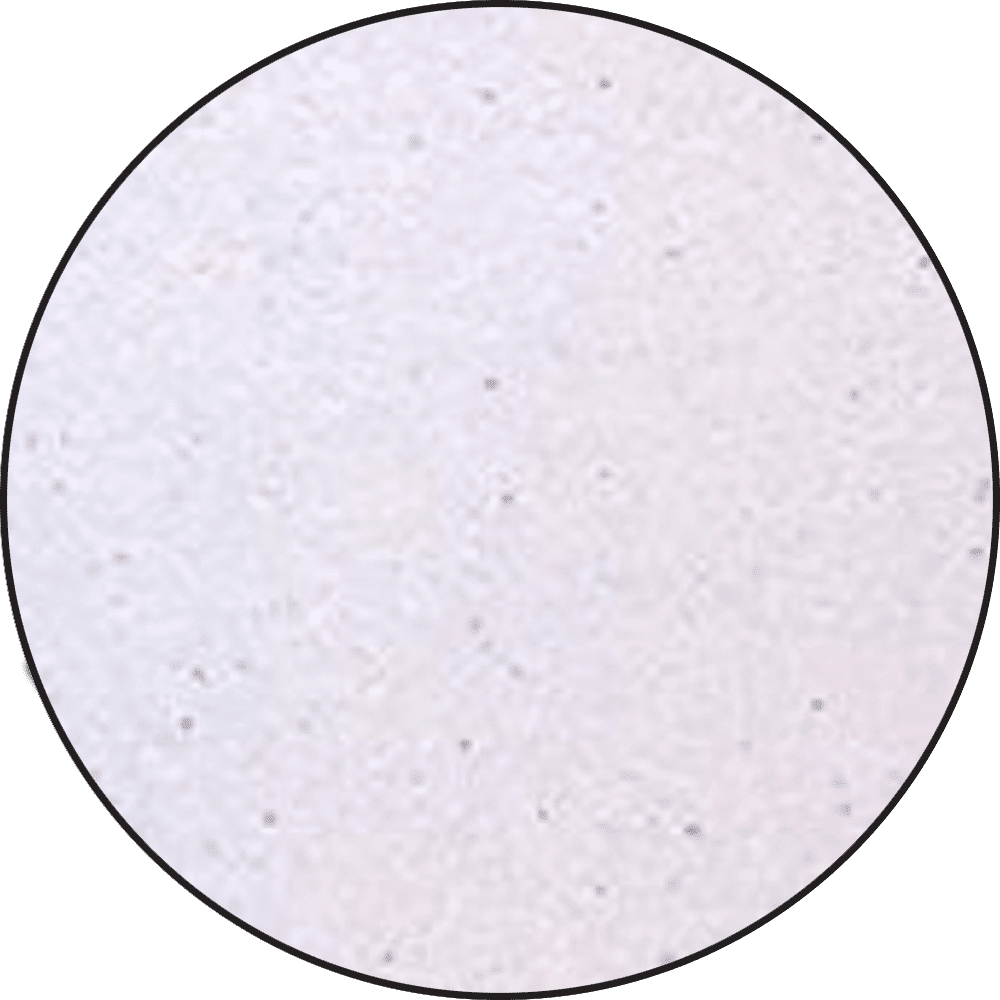 Ranger - Embossing Powder - Lilac Pearl