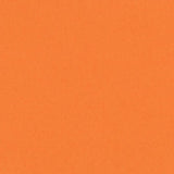 Bazzill - 12x12 Cardstock - Smoothies