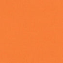 Bazzill - 12x12 Cardstock - Smoothies