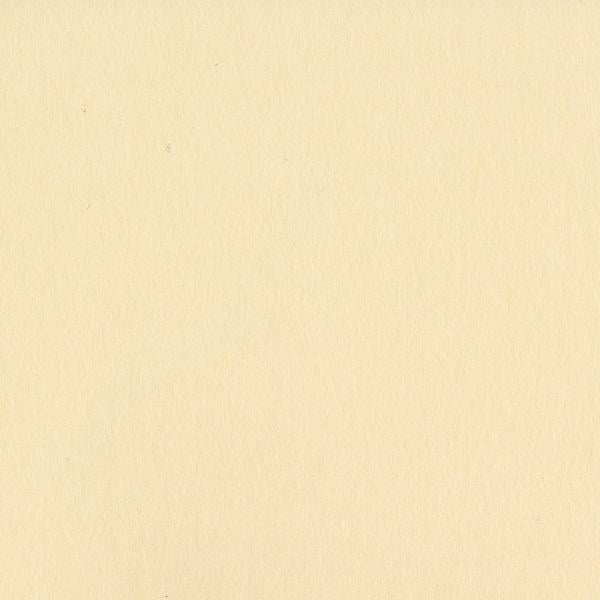 Bazzill - 12x12 Cardstock - Smoothies