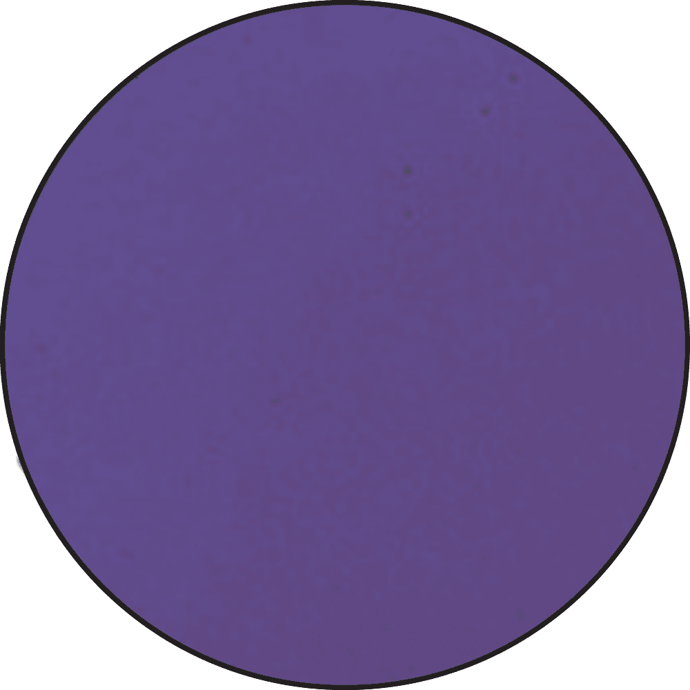 Ranger - Embossing Powder - Purple