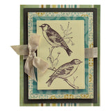Spellbinders - A-2 Matting Basics A Card Creator Etched Dies