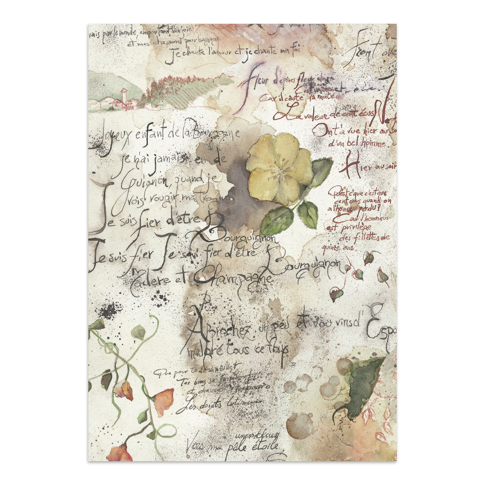 ***Pre-Order*** Stamperia - Printed Art Junk Journal Focus Points For Art And Craft A5 - Flowers And Poems