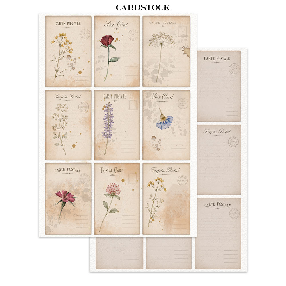 ***Pre-Order*** Stamperia - Printed Art Junk Journal Focus Points For Art And Craft A5 - Flowers And Poems