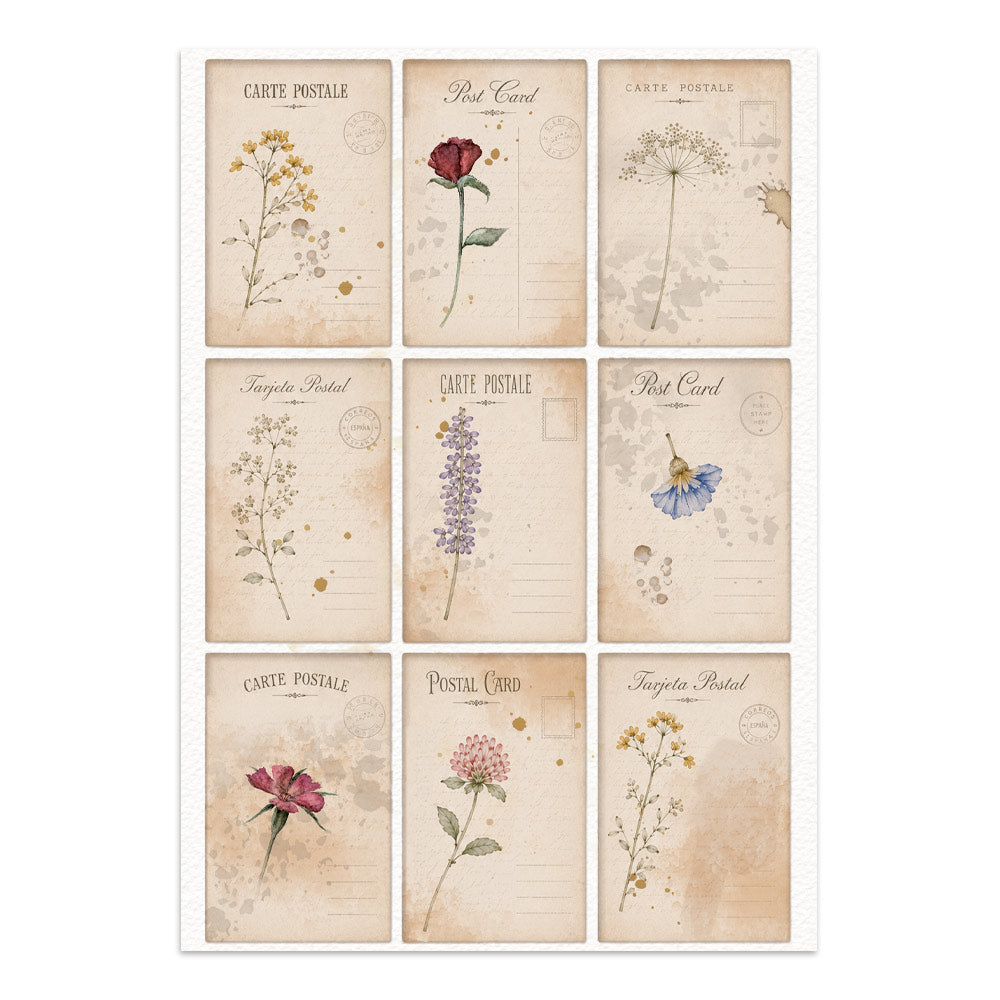 ***Pre-Order*** Stamperia - Printed Art Junk Journal Focus Points For Art And Craft A5 - Flowers And Poems