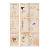 ***Pre-Order*** Stamperia - Printed Art Junk Journal Focus Points For Art And Craft A5 - Flowers And Poems