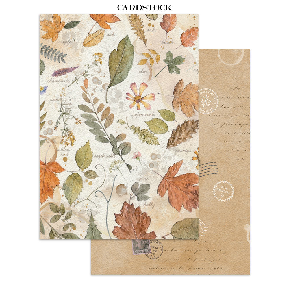 ***Pre-Order*** Stamperia - Printed Art Junk Journal Focus Points For Art And Craft A5 - Flowers And Poems