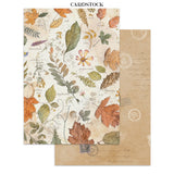 ***Pre-Order*** Stamperia - Printed Art Junk Journal Focus Points For Art And Craft A5 - Flowers And Poems