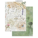 ***Pre-Order*** Stamperia - Printed Art Junk Journal Focus Points For Art And Craft A5 - Flowers And Poems