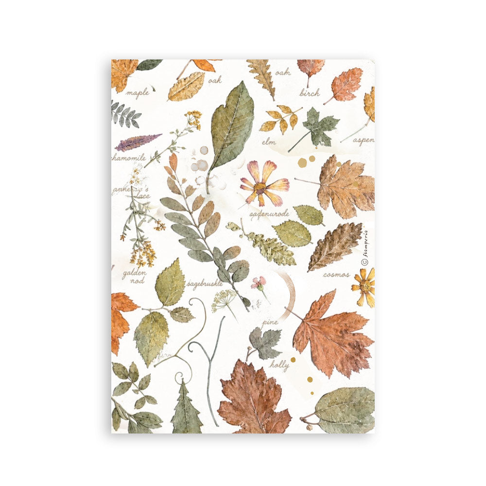 ***Pre-Order*** Stamperia - Printed Washi Pad For Art And Craft A5 8 Sheets - Flowers And Poems