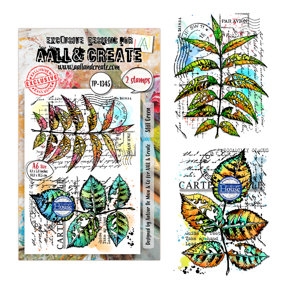 ***Pre-Order*** AALL And Create - A6 Stamp - Still Green - #1345