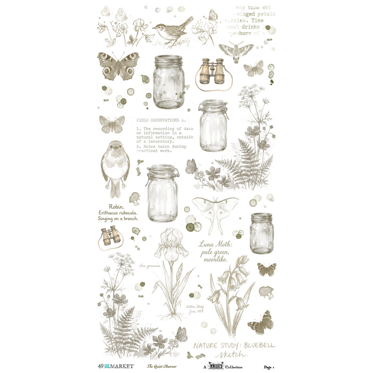 ***Pre-Order*** 49 And Market - The Quiet Observer - Essential Rub-On Transfer
