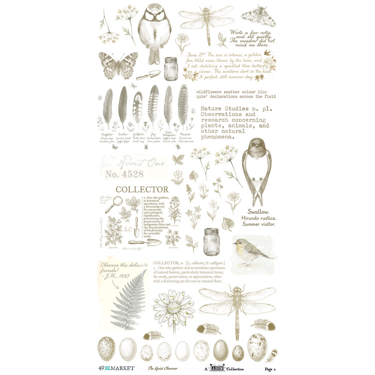 ***Pre-Order*** 49 And Market - The Quiet Observer - Essential Rub-On Transfer