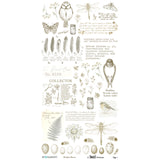 ***Pre-Order*** 49 And Market - The Quiet Observer - Essential Rub-On Transfer