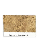 Tim Holtz - Distress Spray Stain - Brushed Corduroy