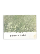 Tim Holtz - Distress Spray Stain - Bundled Sage