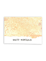 Tim Holtz - Distress Spray Stain - Dried Marigold