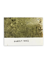 Tim Holtz - Distress Spray Stain - Forest Moss