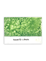 Tim Holtz - Distress Spray Stain - Mowed Lawn